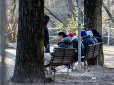Triplicati i ricoveri di pazienti giovani nel trevigiano per disagi psichici