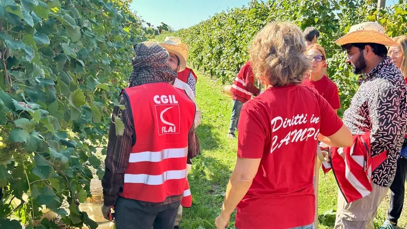 I sindacalisti della Flai Cgil durante la vendemmia