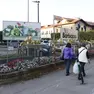 Il vivaio Barbazza in via San Pelajo a Treviso