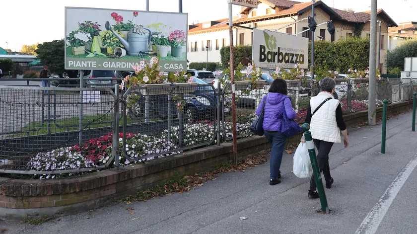 Il vivaio Barbazza in via San Pelajo a Treviso