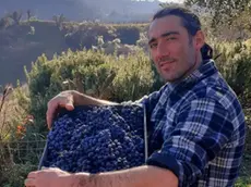 Castelcucco, addio a Matteo Forner: il custode dei vitigni storici dell’Asolano