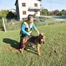 Un cane da ricerca con la conduttrice