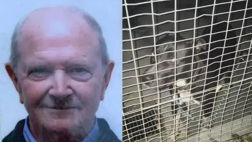 Avellino Corazza e uno dei due cani che hanno aggredito e ucciso l'anziano di Brugnera