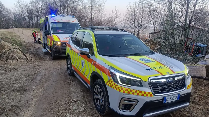 Due piloti di parapendio sono stati attaccati da cani mastini a Borso del Grappa