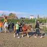 Un momento della giornata