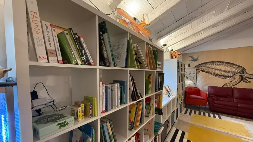 La biblioteca per i bambini al parco dello Storga