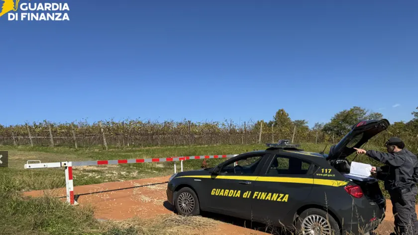 Controlli della Finanza durante la vendemmia