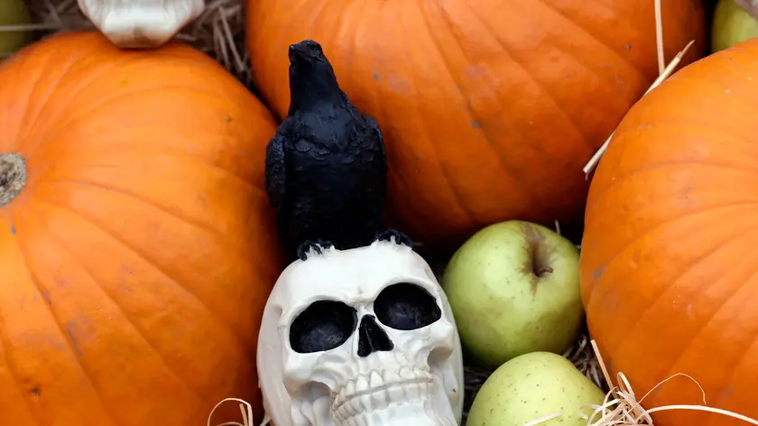 A Treviso e provincia una notte da... paura