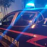 L'intervento dei carabinieri