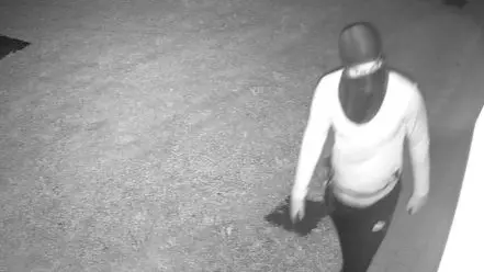 I ladri ripresi dalla videocamere di sorveglianza