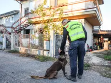 Le ricerche riprese giovedì a Sdraussina. Foto Tibaldi