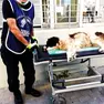 Una guardia per l'ambiente soccorre un cane