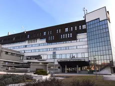 Il tribunale di Treviso