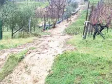 Una immagine della frana scesa tra le vigne a Brazzano nel 2017