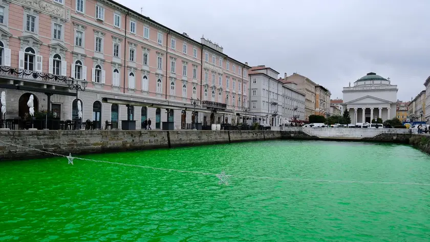 Il canale Ponterosso colorato di verde (Silvano)