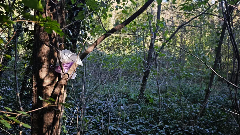 Il luogo del ritrovamento del corpo di Lilly, come appare oggi (foto Lasorte)