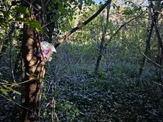 Il luogo del ritrovamento del corpo di Lilly, come appare oggi (foto Lasorte)