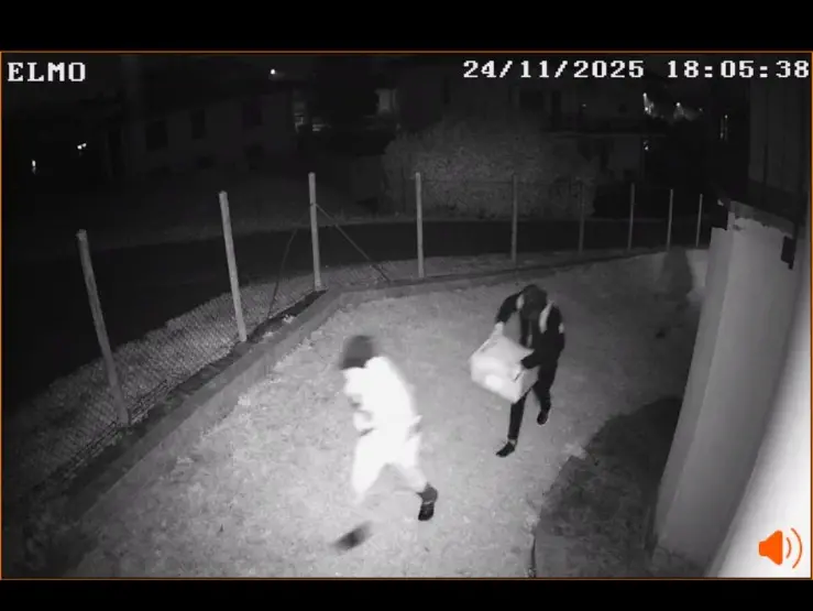 I ladri catturati dalle telecamere