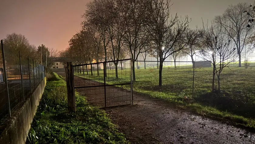 L'area in cui è stato trovato il cadavere nel fossato a Silea