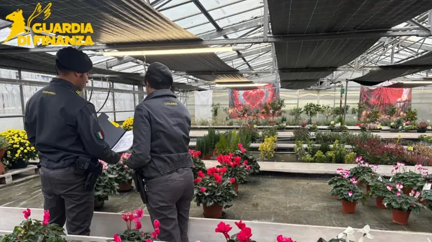 Il blitz della finanaza nel garden