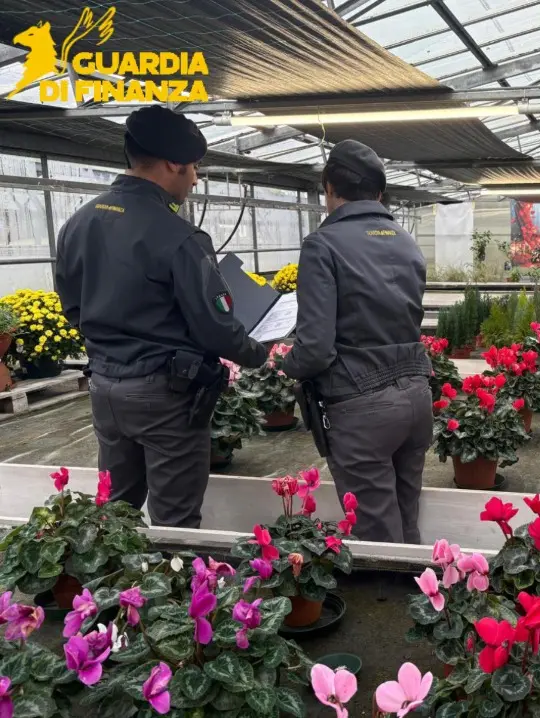 Il blitz della finanaza nel garden