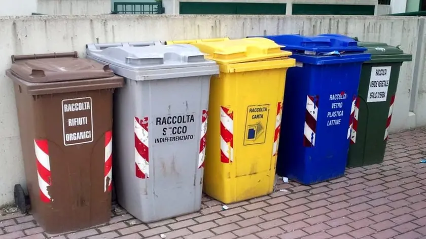 Raccolta differenziata nella provincia di Treviso: tutti i dati