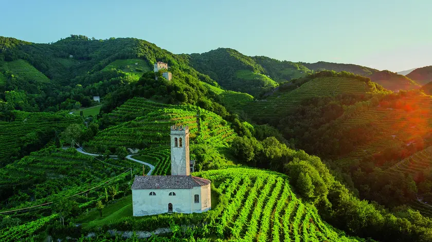 Il Consorzio Docg vince al Tar e ottiene fondi milionari