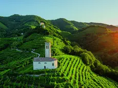 Il Consorzio Docg vince al Tar e ottiene fondi milionari