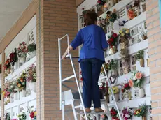 Il cimitero di Santa Bona a Treviso