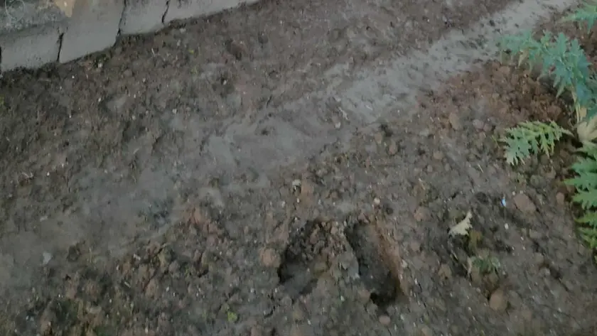 Le impronte lasciate dai ladri