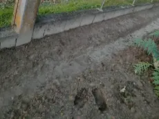 Le impronte lasciate dai ladri