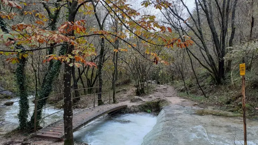 Boschi a Natale 2025