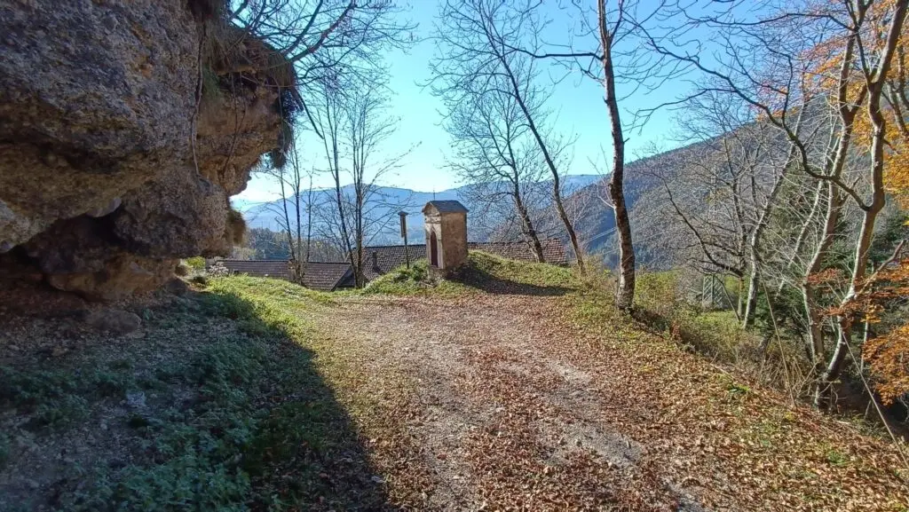 Boschi a Natale 2025