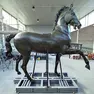 Il cavallo del Canova restaurato