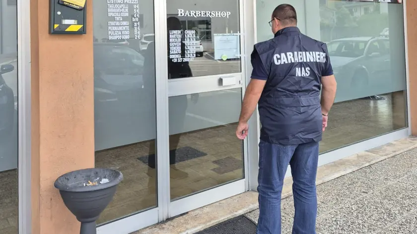 I controlli dei carabinieri del Nas