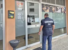 I controlli dei carabinieri del Nas