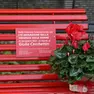 La panchina dedicata a Giulia Cecchettin