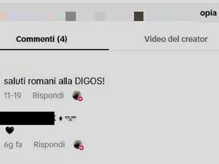 Uno dei commenti in gruppi social estremisti