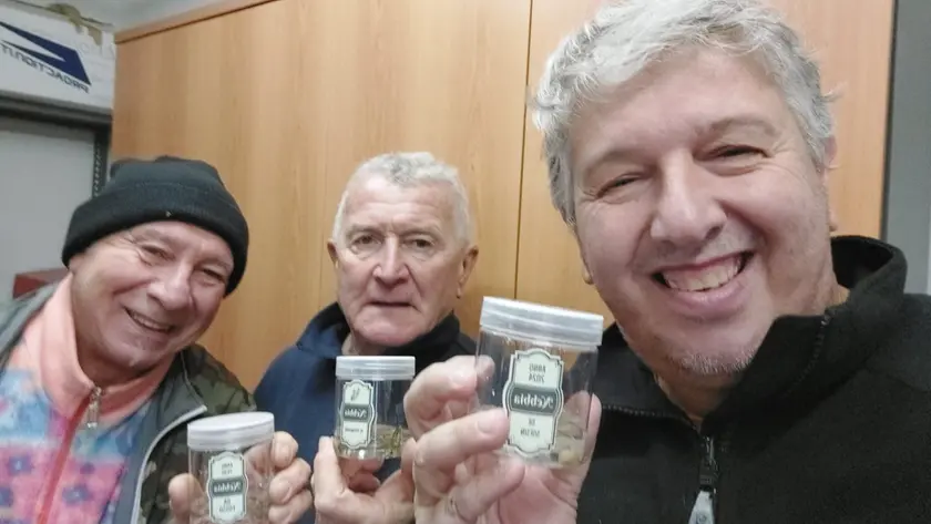 I vasetti di nebbia in vendita