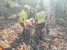 Le operazioni di soccorso del taglialegna a San Zenone