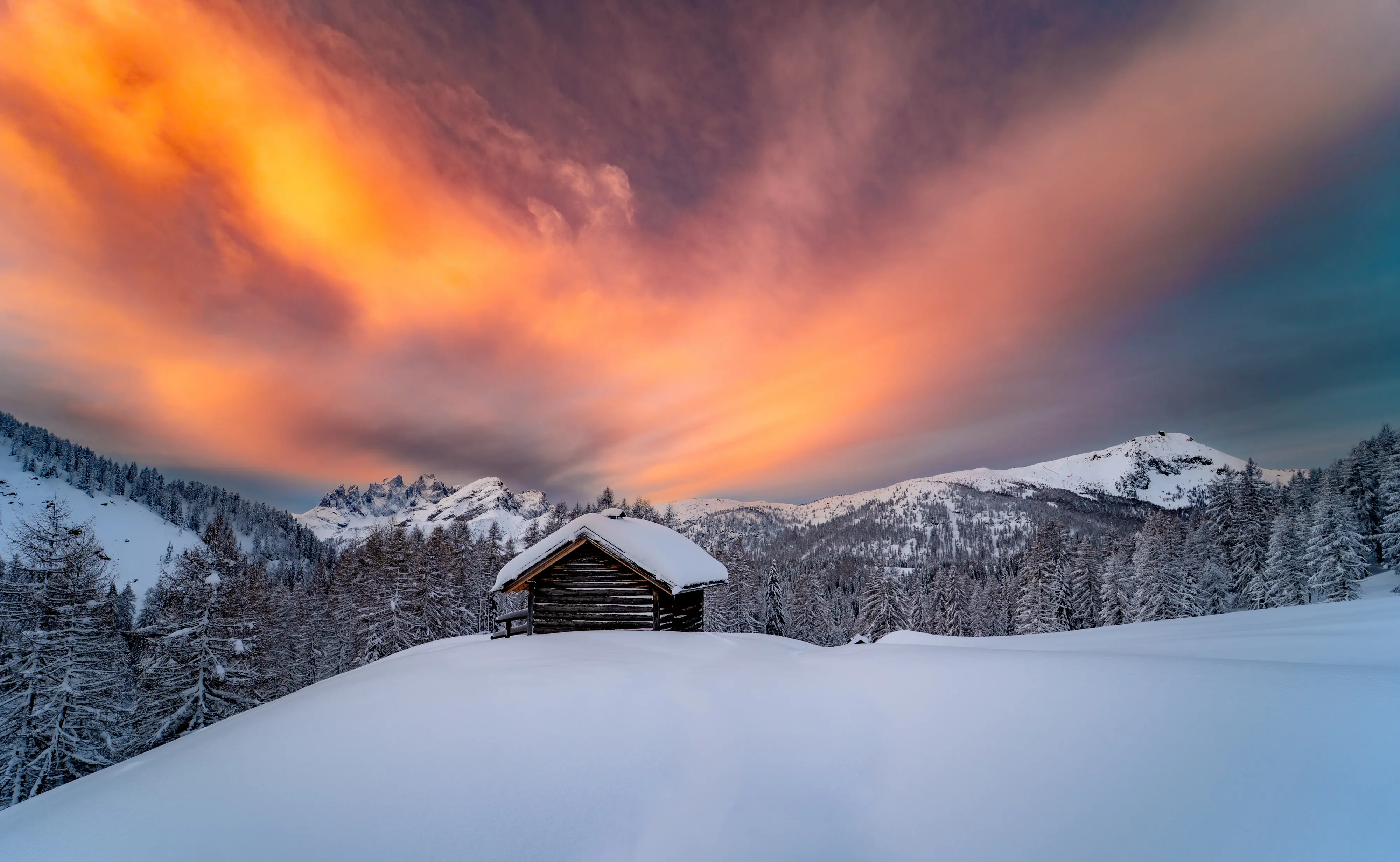 Dodici scatti, uno per ciascun mese, selezionati tra gli oltre 2700 che hanno partecipato al concorso indetto dal nostro giornale con Nord Est Multimedia e la Regione Veneto. Ecco come è andata: il calendario sarà in omaggio gratuito con la tribuna di Treviso solo martedì 23 dicembre