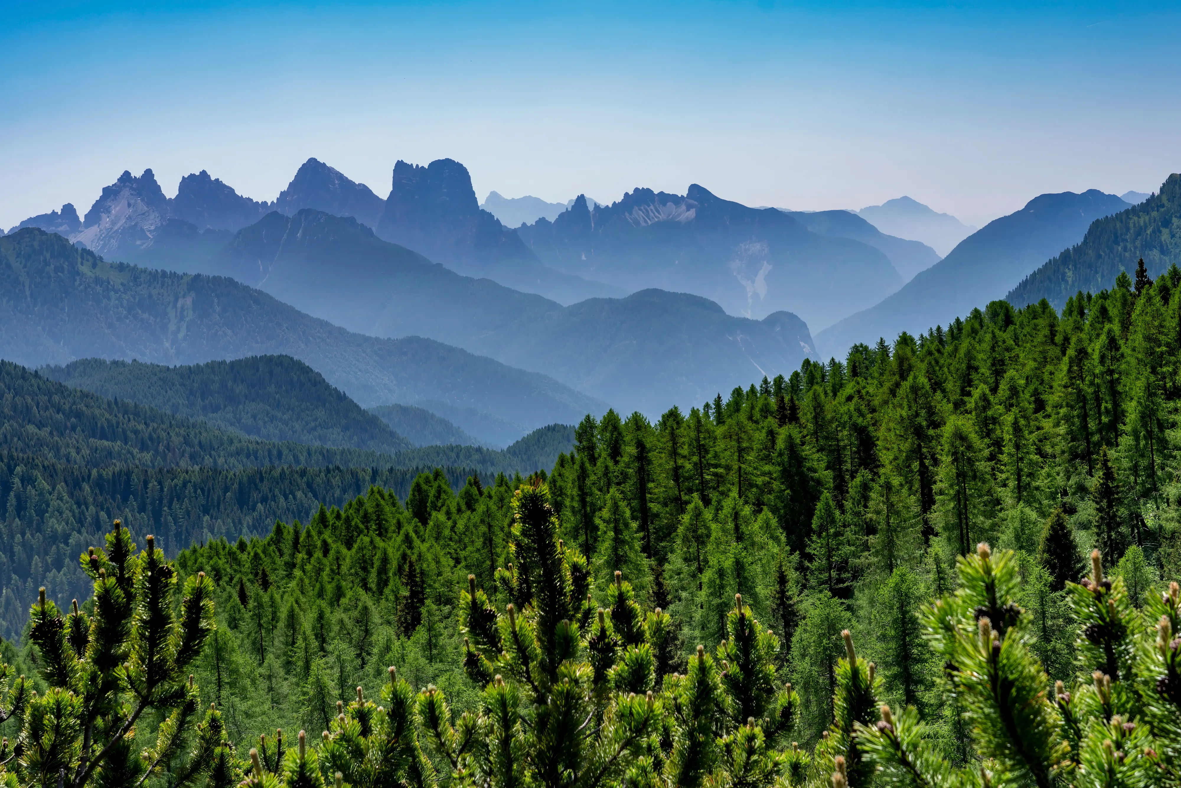 Dodici scatti, uno per ciascun mese, selezionati tra gli oltre 2700 che hanno partecipato al concorso indetto dal nostro giornale con Nord Est Multimedia e la Regione Veneto. Ecco come è andata: il calendario sarà in omaggio gratuito con la tribuna di Treviso solo martedì 23 dicembre