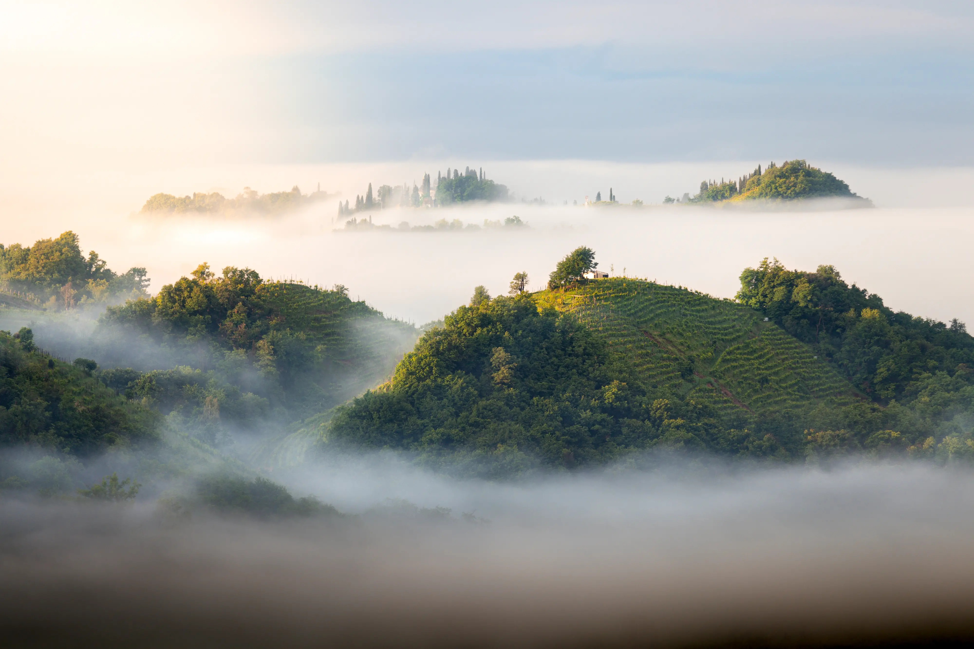Dodici scatti, uno per ciascun mese, selezionati tra gli oltre 2700 che hanno partecipato al concorso indetto dal nostro giornale con Nord Est Multimedia e la Regione Veneto. Ecco come è andata: il calendario sarà in omaggio gratuito con la tribuna di Treviso solo martedì 23 dicembre