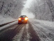 Strada per Cima Grappa innevata (Semonzo)