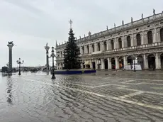 L'albero di Natale in piazzetta San Marco circondato dalla marea alla Vigilia di Natale