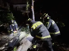 L'intervento dei vigili del fuoco