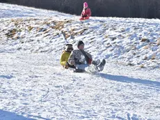 Con lo slittino sul Cansiglio