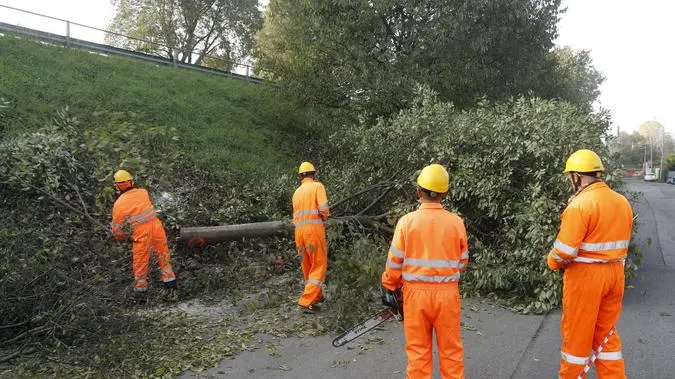 L'abbattimento di un albero a Chiesanuova (Padova) per i lavori del tram