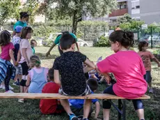 I dati Istat ritraggono la Marca under 24