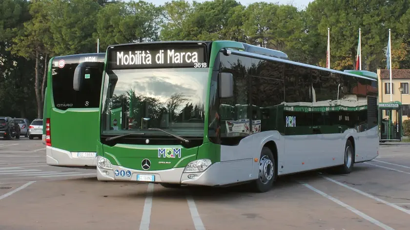 In autobus da Treviso verso Cortina dal 6 al 22 febbraio per le Olimpiadi